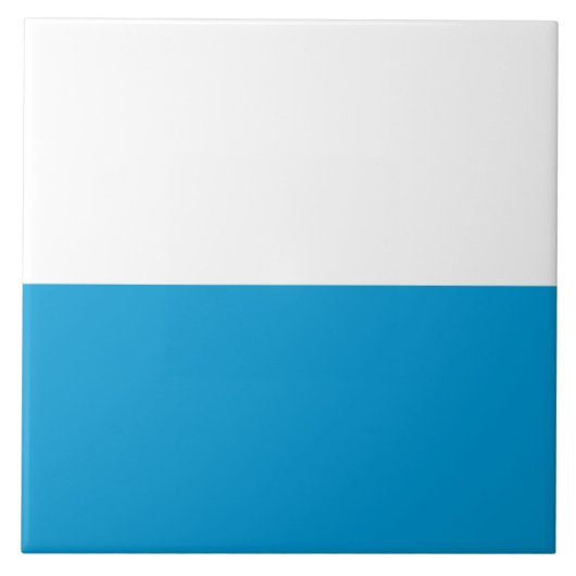 Vlag van Beieren (Duitse staat) Tegeltje (Voorkant)