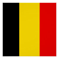 Vlag van België