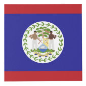 Vlag van Belize Kubus (Rechts)