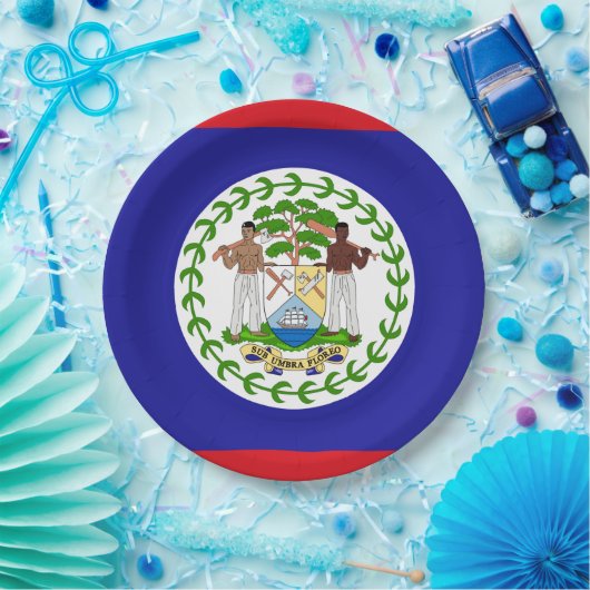 Vlag van Belize Papieren Bordje (Feest)