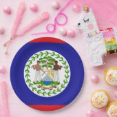 Vlag van Belize Papieren Bordje (Feest)