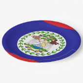 Vlag van Belize Papieren Bordje (Gekanteld)