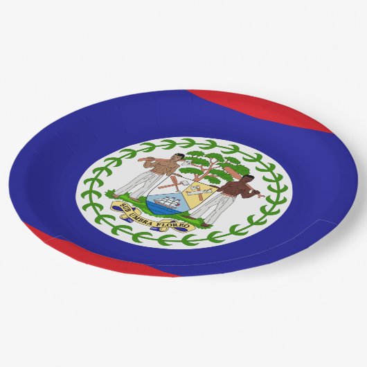 Vlag van Belize Papieren Bordje (Gekanteld)