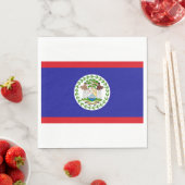 Vlag van Belize Servet (Insitu)