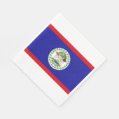Vlag van Belize Servet (Hoek)