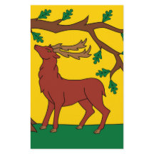 Vlag van Berkshire (VK)