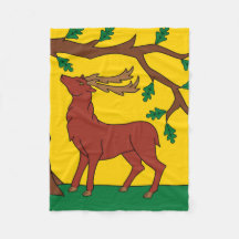 Vlag van Berkshire (VK)