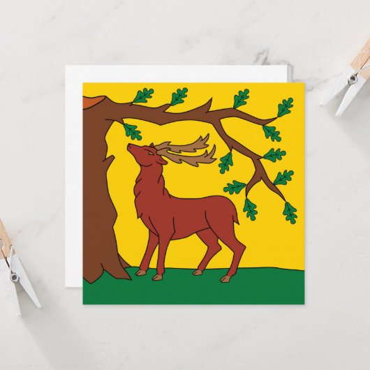 Vlag van Berkshire (VK) Kaart (Voorkant / Achterkant in situ)