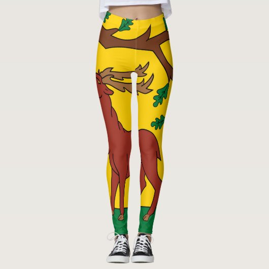 Vlag van Berkshire (VK) Leggings (Voorkant)