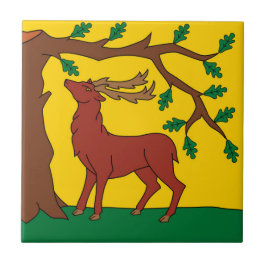 Vlag van Berkshire (VK) Tegeltje
