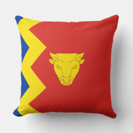 Vlag van Birmingham Kussen