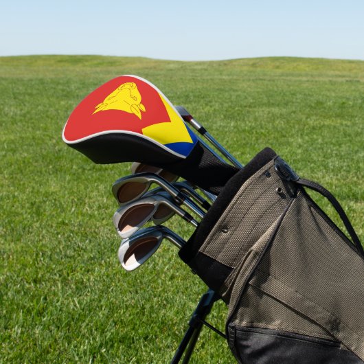 Vlag van Birmingham, VK Golfheadcover (Insitu)