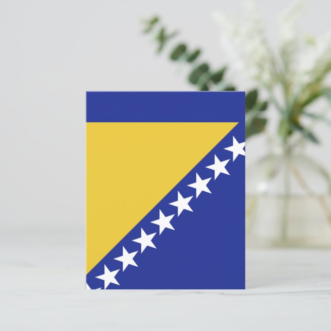 vlag van Bosnië en Herzegovina (Staand voorkant)