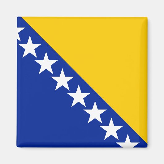 Vlag van Bosnië en Herzegovina Magneet (Voorkant)