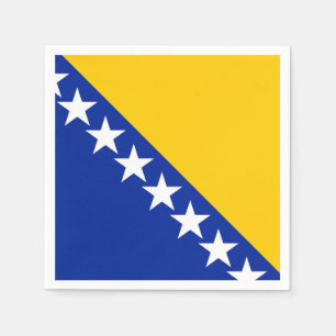 Vlag van Bosnië en Herzegovina Servet