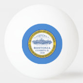 Vlag van Boston, Massachusetts Ping-Pong Ball (Achterkant)