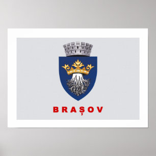 Vlag van Brasov Poster