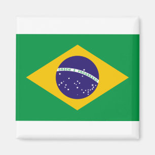 vlag van Brazilië Magneet