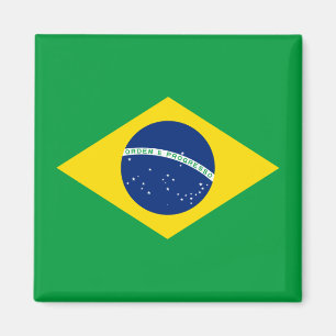 vlag van Brazilië Magneet
