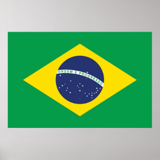 vlag van Brazilië Poster