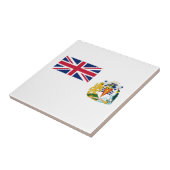 Vlag van Brits Antarctisch Territorium Tegeltje (Zijkant)
