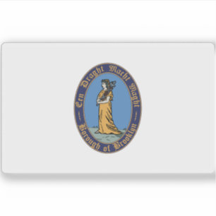 Vlag van Brooklyn, New York Sticker