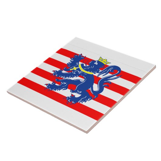 Vlag van Brugge, België Tegeltje (Zijkant)