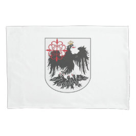 Vlag van Buenos Aires (Argentinië) Kussensloop