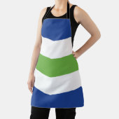 Vlag van Burlington, Vermont Schort (Insitu)