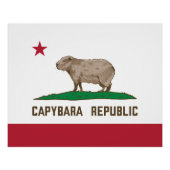 Vlag van Capybara Republic Perfect Poster (Voorkant)