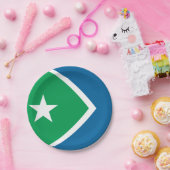 Vlag van Cedar Rapids, Iowa Papieren Bordje (Feest)