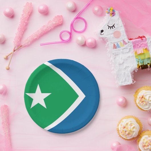 Vlag van Cedar Rapids, Iowa Papieren Bordje (Feest)