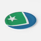 Vlag van Cedar Rapids, Iowa Papieren Bordje (Gekanteld)