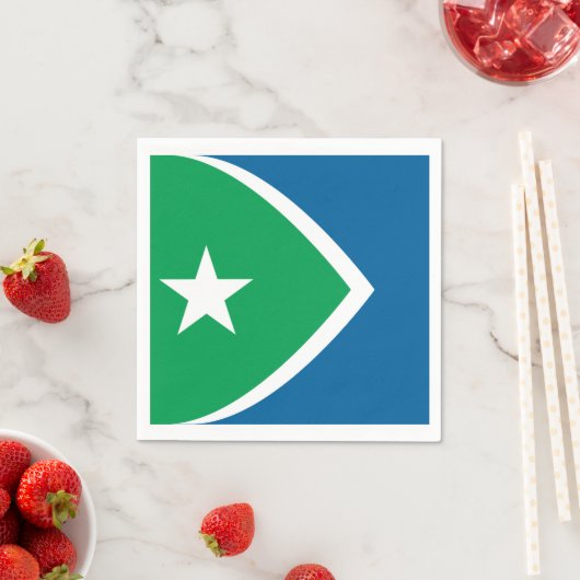 Vlag van Cedar Rapids, Iowa Servet (Insitu)