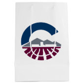 Vlag van Chandler, Arizona Medium Cadeauzakje (Achterkant)