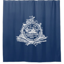Vlag van Charleston (South Carolina)