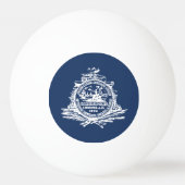 Vlag van Charleston, South Carolina Ping Pong Ball (Voorkant)