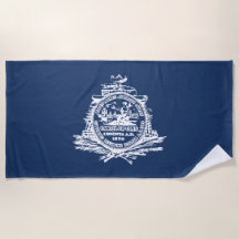 Vlag van Charleston (South Carolina)
