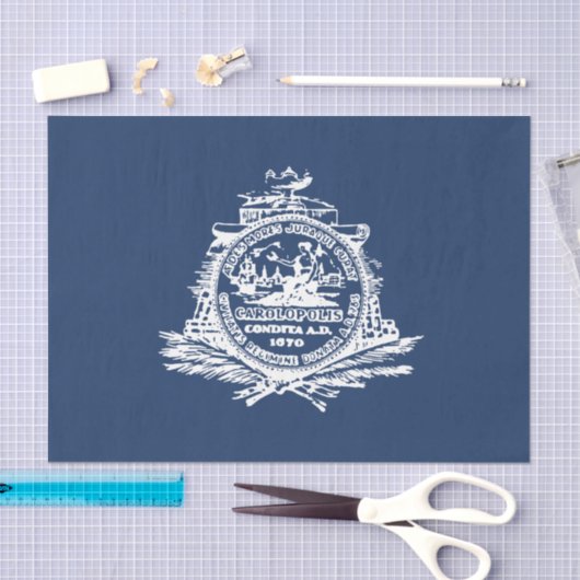 Vlag van Charleston (South Carolina) Tissuepapier (Craft)