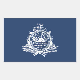 Vlag van Charleston, Zuid-Carolina Rechthoekige St Sticker