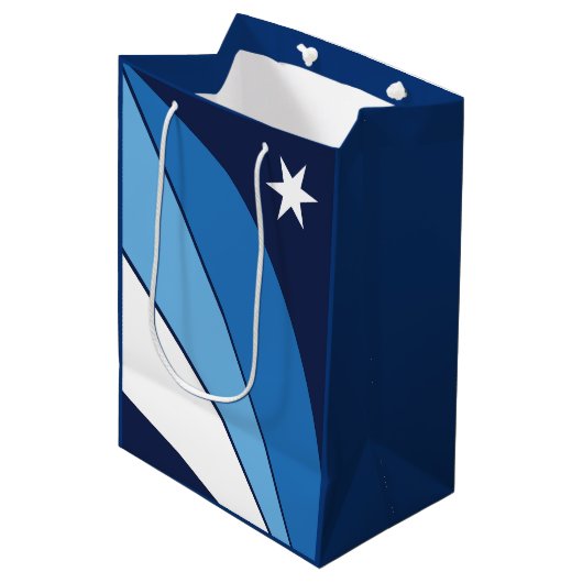 Vlag van Columbia, South Carolina Medium Cadeauzakje (Voorkant Gekanteld)