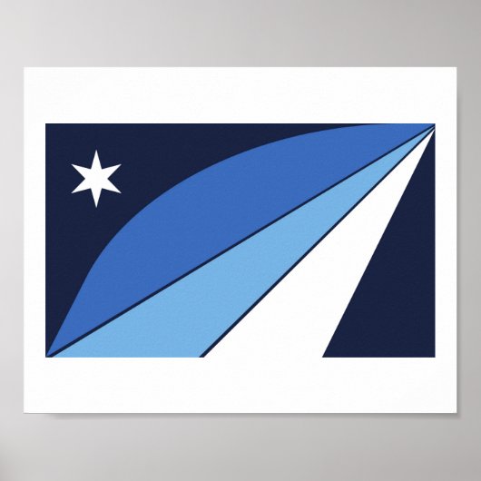 Vlag van Columbia, South Carolina Poster (Voorkant)
