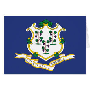 Vlag van Connecticut