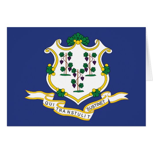 Vlag van Connecticut (Voorkant Horizontaal)