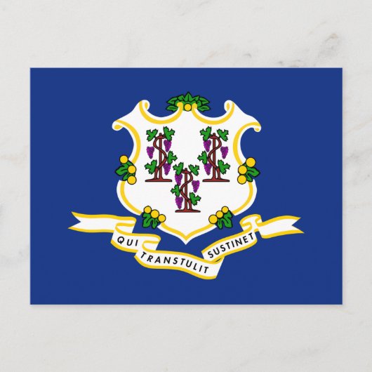 Vlag van Connecticut Briefkaart (Voorkant)