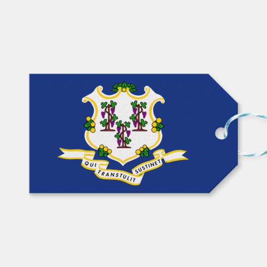 Vlag van Connecticut Cadeaulabel (Voorkant (Horizontaal))