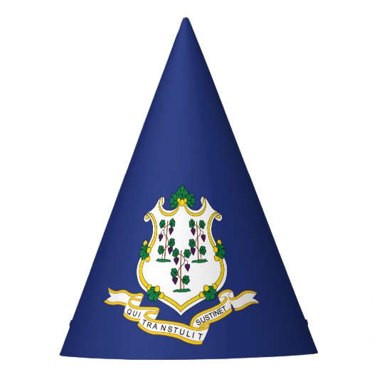 Vlag van Connecticut Feesthoedjes (Voorkant)
