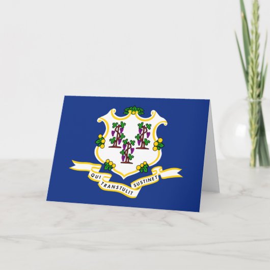 Vlag van Connecticut Kaart (Voorkant)
