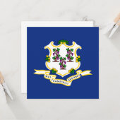 Vlag van Connecticut Kaart (Voorkant / Achterkant in situ)
