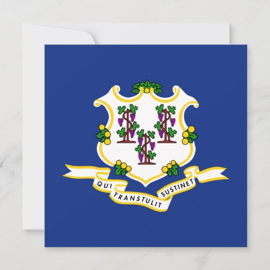 Vlag van Connecticut Kaart (Voorkant)